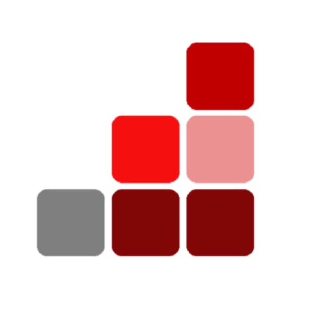 firstdigital.institute