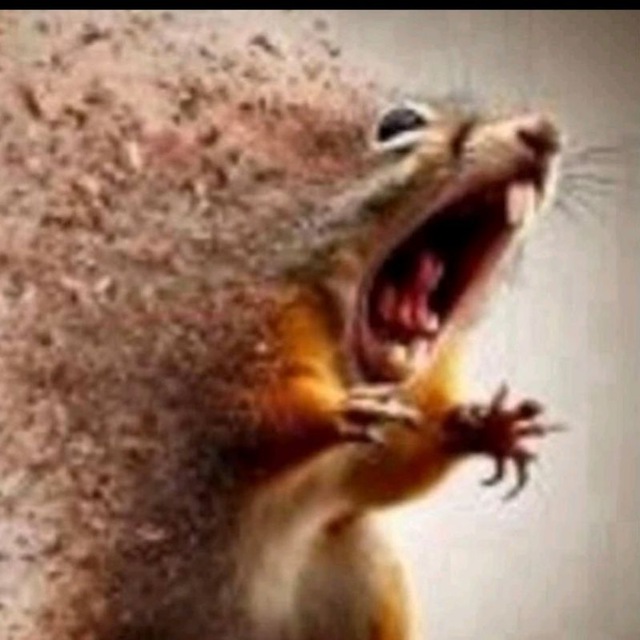 | Разговоры с Miss | ? ура отдых