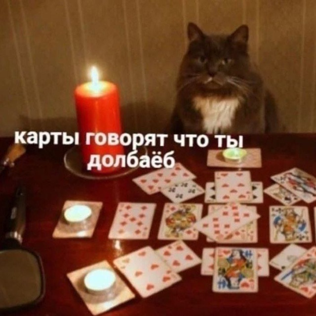 гусиная ферма