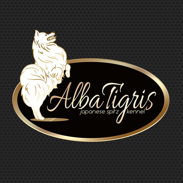 AlbaTigris_kennel. Питомник японский шпиц