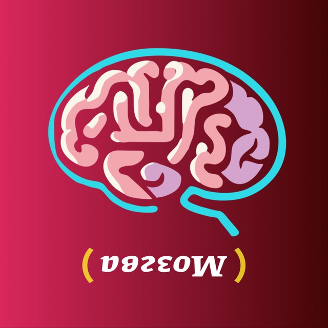 Квиз Мозгва Тбилиси