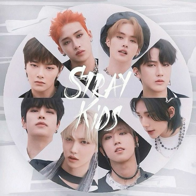 ✨ ????????? ✨