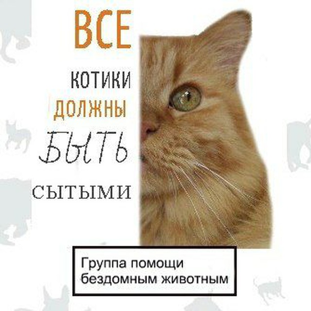 АНОЗЖ "Сытый Котик" Бийск