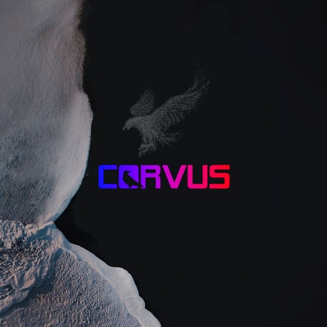 Corvus os