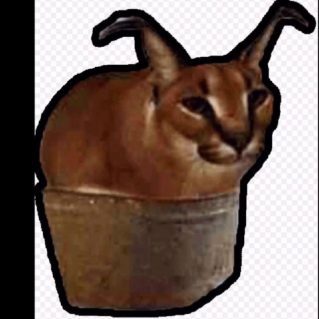 Шлёпа в тазике