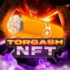 TORGASH NFT