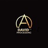 Процессинг David Team