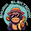 🖥️Shurik_Elektronik_Spb💻
