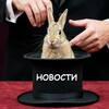 ФОКУС НОВОСТЕЙ