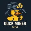 DuckMiner | Уфа