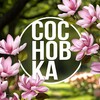 Институт СосновКа