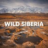 WILD RUSSIANS | СИБИРЬ